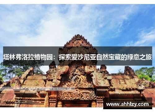 塔林弗洛拉植物园：探索爱沙尼亚自然宝藏的绿意之旅