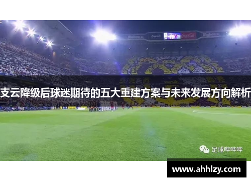支云降级后球迷期待的五大重建方案与未来发展方向解析