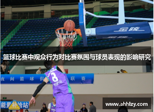 篮球比赛中观众行为对比赛氛围与球员表现的影响研究